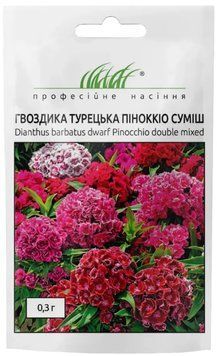 Гвоздика турецька Піноккіо, 0,3 г PN5890 фото